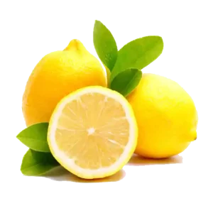لیموی ترش درجه یک با بسته بندی و ارسال روز