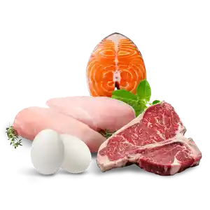 پروتئین و گوشت