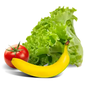 میوه و سبزیجات